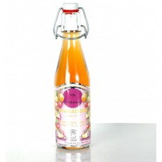 Orange appetizer drink 25 cl