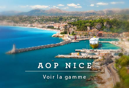 Nos boutiques : de la culture à la commercialisation