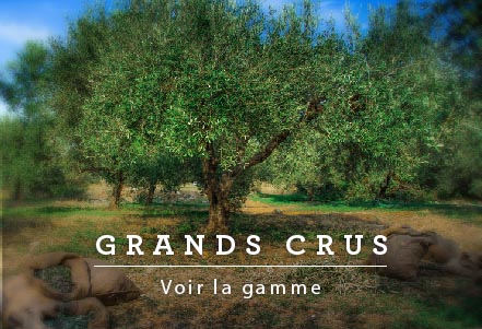 Nos domaines : 1er producteur des Alpes-Maritimes